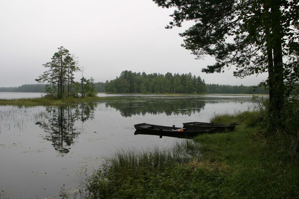 Vattenkemin 29 Sett till Dalälvens avrinningsområde som helhet var vattenkemin relativt normal 29 jämfört med den föregående 5-årsperioden 24-28.