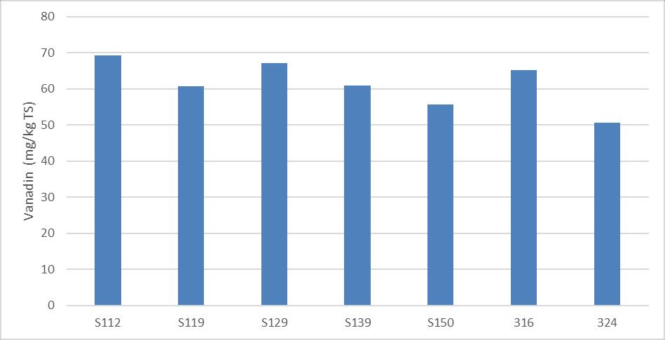 180 BOHUSKUSTENS VATTENVÅRDSFÖRBUNDS KONTROLLPROGRAM 5.8.10 Vanadin Uppmätta halter av vanadin år 2018 är i samma nivå jämfört med tidigare års provtagning.