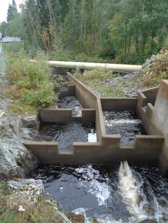 3.2 Fiskvandringsförhållanden i Norrån 3.2.1 Sågdammen Figur 1. Fiskvägen i Sågdammen 20150924. Bedömt referensförhållande för uppströms fiskvandring Forsen nedströms dammen har en lutning av ca 6%.