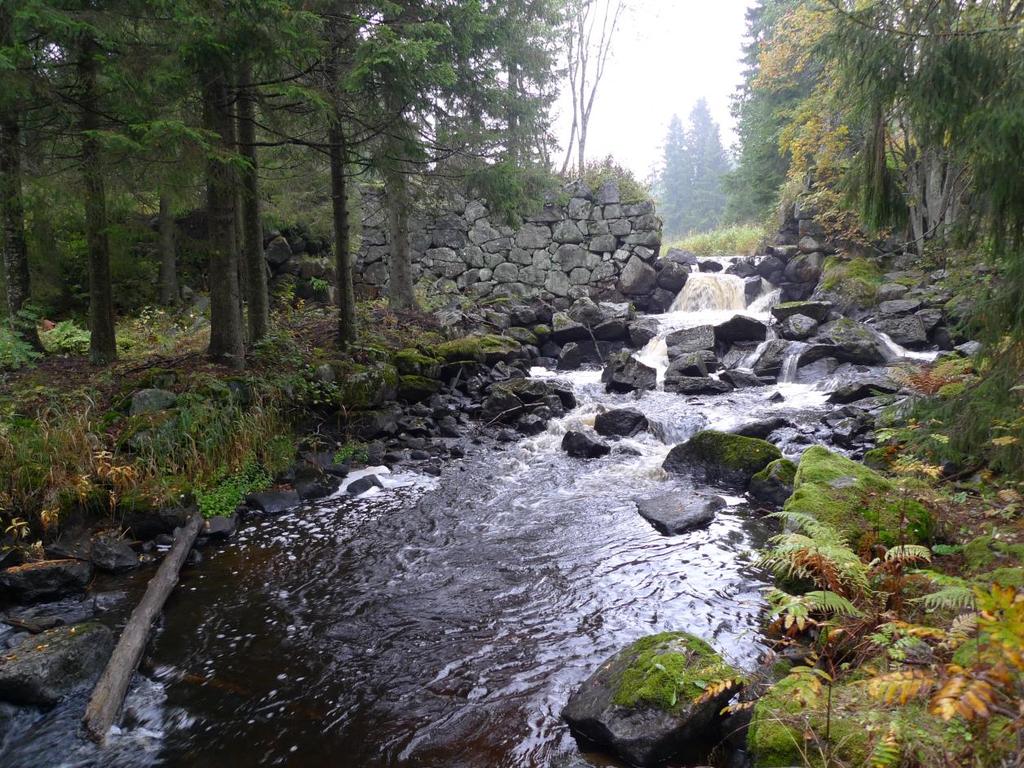 3.2.2 Manufakturdammen Figur 2. Manufakturdammen i Norrån 20150924. Bedömt referensförhållande för uppströms fiskvandring Forsen nedströms dammen har en lutning av ca 5-6%.