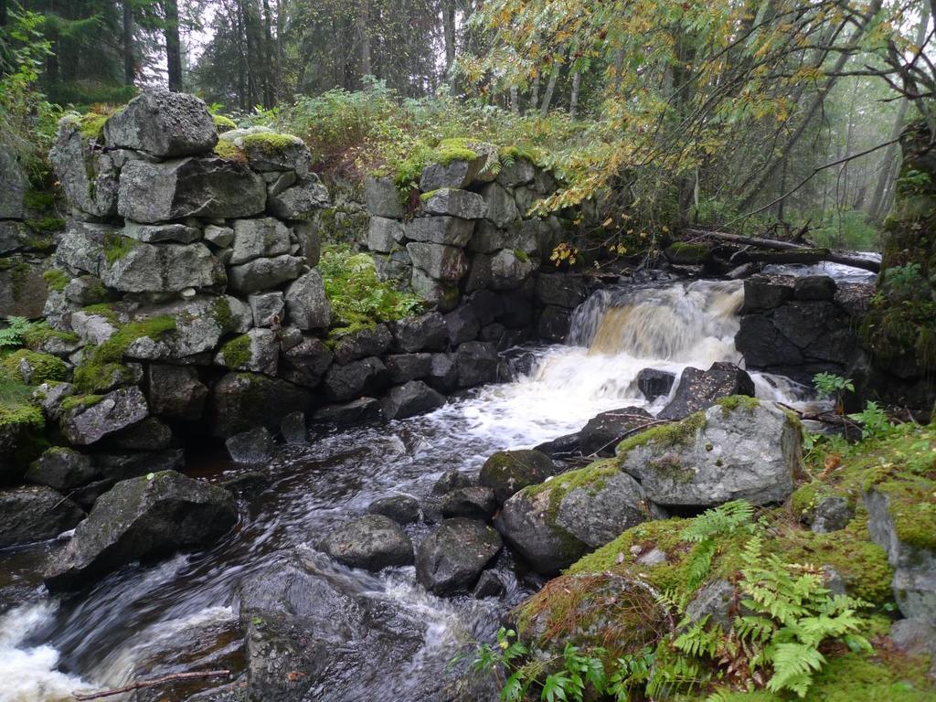 3.2.3 Övre Hammaren Figur 3. Övre Hammaren i Norrån 20150924. Bedömt referensförhållande för uppströms fiskvandring Forsen nedströms dammen har en lutning av ca 4-5%.