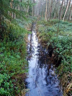 1 Tailodpåttens avrinningsområde På basis av kartan och flygbilden utgörs Tailodpåttens avrinningsområde nästan i sin helhet av hällmark eller moränmark.