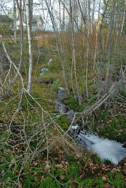 9 Det mellersta loppet norr om villavägen.