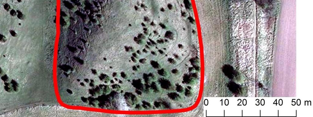 fl. 2013). Berggrundsytan består av dankalksten som bildades under paleocen-eocen (för 65-62 miljoner år sedan).