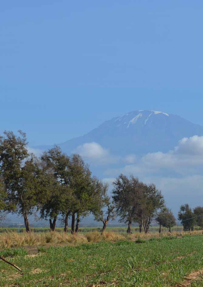 Byn Newland Newland är en by som ligger 10 km utanför staden Moshi i nordöstra Tanzania. Moshi är en s Serengheti, Tarangire och Ngorongoro.