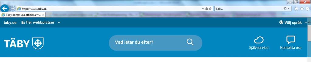 2(15) 3. Klicka på Självservice. 3 4. Klicka på plustecknet för Omsorg och stöd för att öppna upp undermenyval 5.