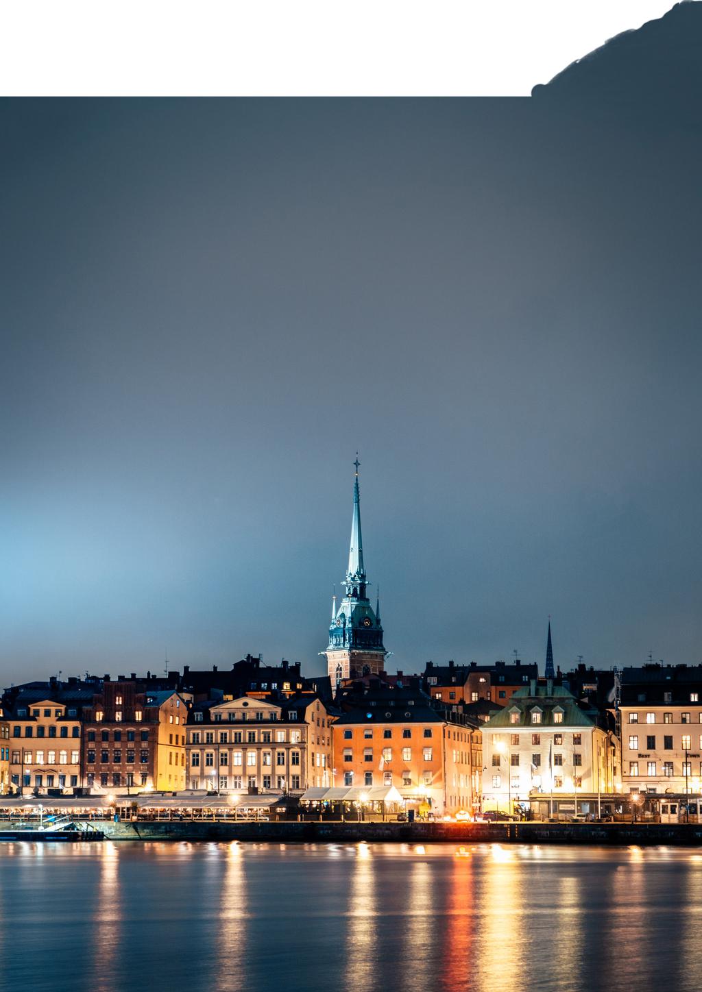 DELÅRSRAPPORT VERISEC AB