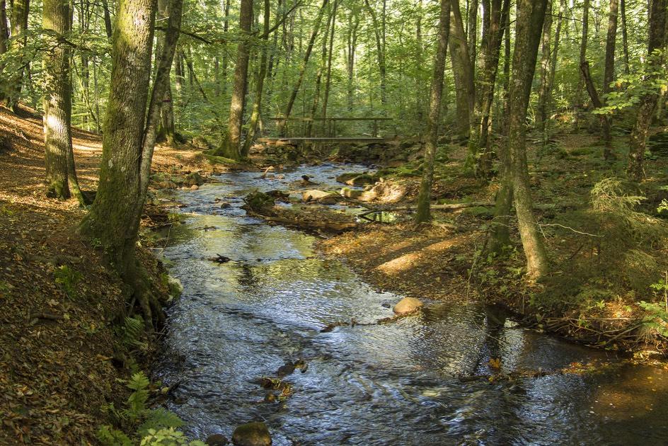 4. Gässlösa naturreservat Stensån, som är ett bialöde till Himleån, rinner genom Gässllösa naturreservat.