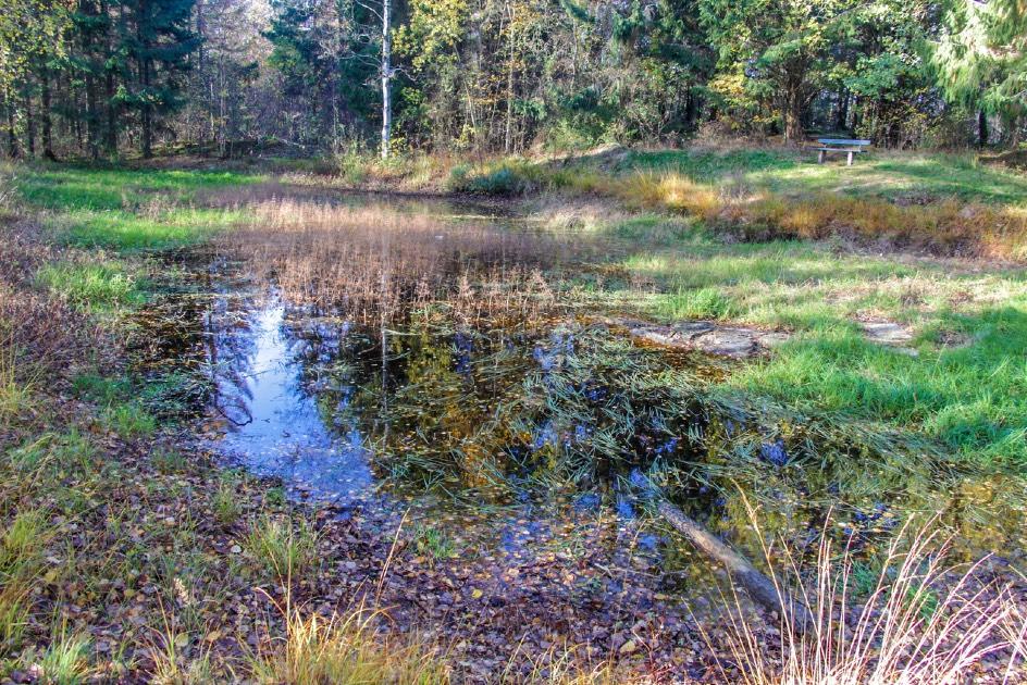 Hagaskolan Hagaskolan (och andra skolor i Varberg) har tillgång till alera intressanta vattenmiljöer och naturområden.