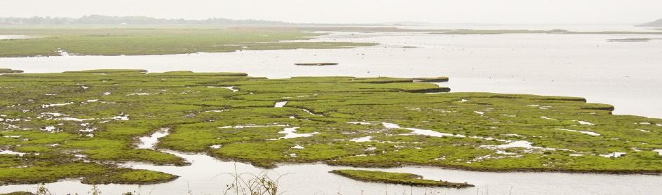 2. GeOeröns naturreservat Himleån mynnar i Getteröns