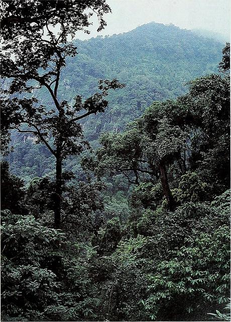 The Conservation Atlas of Tropical Forests: Asia and the Pacific Magnus Nilssen Klinga & Cassandra Ramstedt Sveriges Lantbruksuniversitet Program: Jägmästarprogrammet Institutionen för skogens