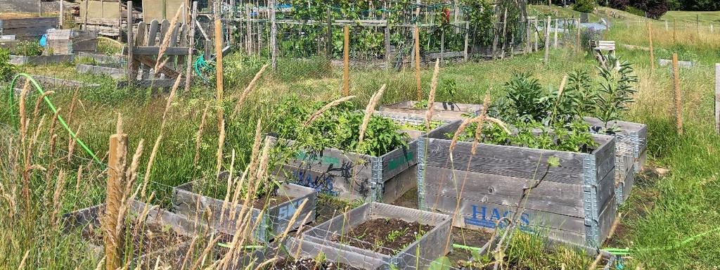 Planens genomförandetid har gått ut. Övriga bestämmelser Inom planområdet finns 2 objekt som omfattas av generellt biotopskydd enligt Miljöbalken 7 kap 11.