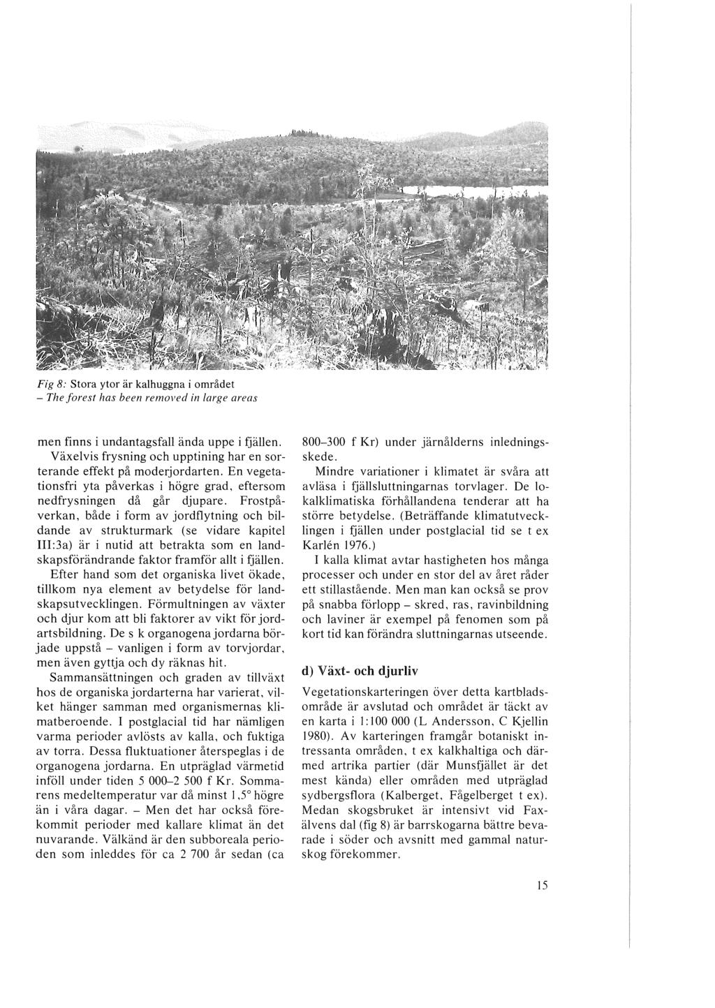 Fig 8: Stora ytor är kalhuggna i området - The forest has been removed in large areas men finns i undantagsfall ända uppe i fjällen.