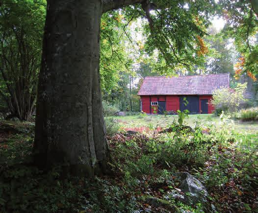 Inledning Ä dellövskogen har en särställning bland de svenska skogarna. Den har alltid vuxit närmast våra bosättningar och har idag ett speciellt lagligt skydd.