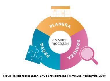 Revisionsprocessen -