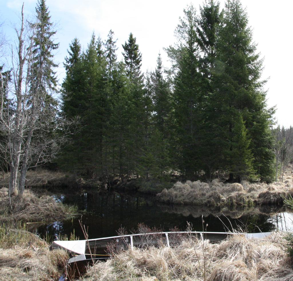 Väg 6 förbi Hjulsjö Hällefors kommun, Örebro län