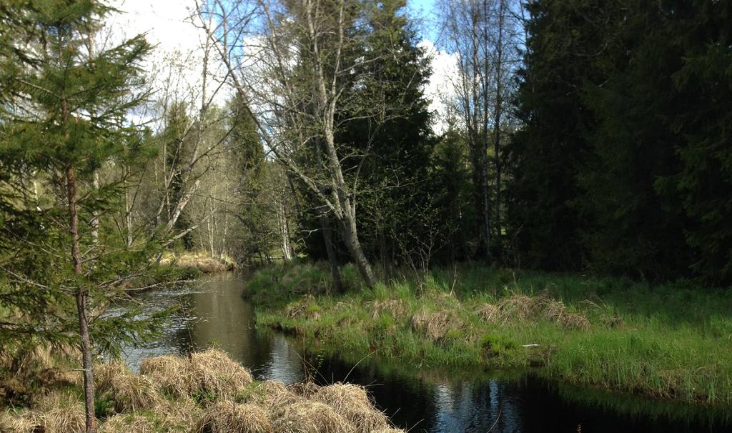 Den tunga trafiken som idag färdas genom Hjulsjö kommer nästan helt försvinna. Boendemiljön utmed befintlig väg 6 kommer att förbättras, då bullret kommer att minska avsevärt.