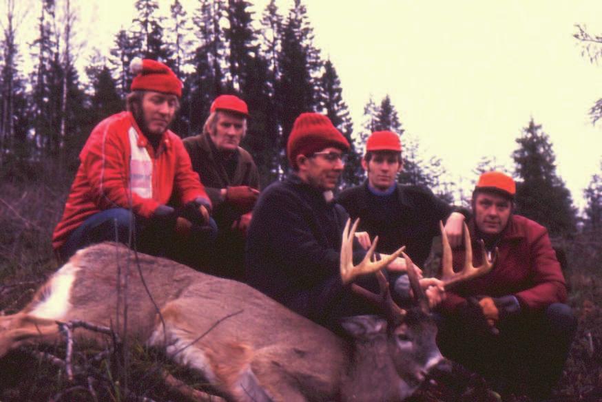 na, varvid jag sköt min första hare den 12 september 1958. Vi hade en gråhund vid namn Nalle som jagade älg, men kunde göra ett kort drev efter hare om den kom nära upptaget då haren gav sig på flykt.