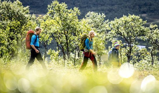 FAMILJEVECKA - STEG 3 TÄLTVANDRING I GRÖVELSJÖFJÄLLEN Detta är familjeveckan för familjen som vill ta sig längre ut på fjället.