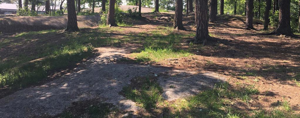 Förenlighet med miljöbalken Detaljplanen möjliggör en utveckling av befintlig skolverksamhet i centrala delarna av Askersund tätort.