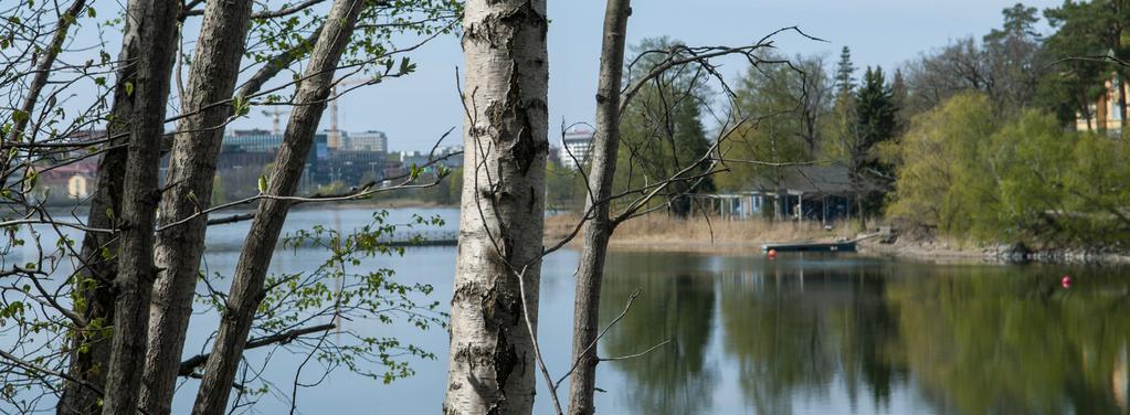 DEL 2 Strategier för anpassning till ett förändrat klimat Solna stads vision är att Solna ska vara en sammanhållen och levande stad, som växer och utvecklas hållbart för alla Solnabor.