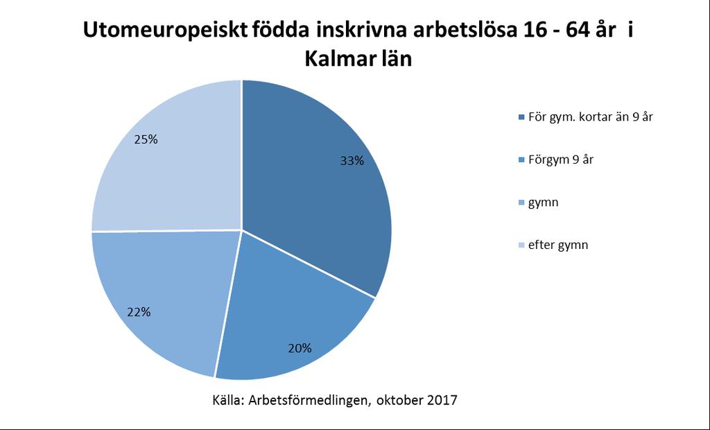 34 De visar samtidigt på mycket stora behov av grundläggande utbildningsinsatser för att senare kunna gå vidare med yrkesutbildning. Mer än hälften (53 procent) saknar en gymnasial utbildning.