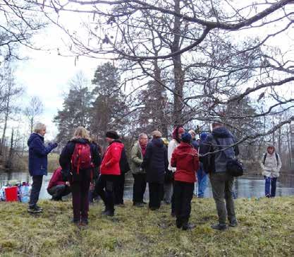 Styrelsen 2019 1 JAN 7 APRIL 2019 Ordförande: Lisa Karlsson (Lindesberg) Vice ordförande: Margareta Widell (Askersund) Kassör: Silke Frank (Nora) Övriga ledamöter: Valdemar Andersson (Örebro) Tomas