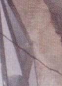 Tore Sandstrom (SM7CBS) plus besokare som Conny, SM7DMG och Gunnar SM7DOU.