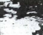 KC, operator 8 sekunder att fa fram en komplett bild om 128 (se horisontella linjer
