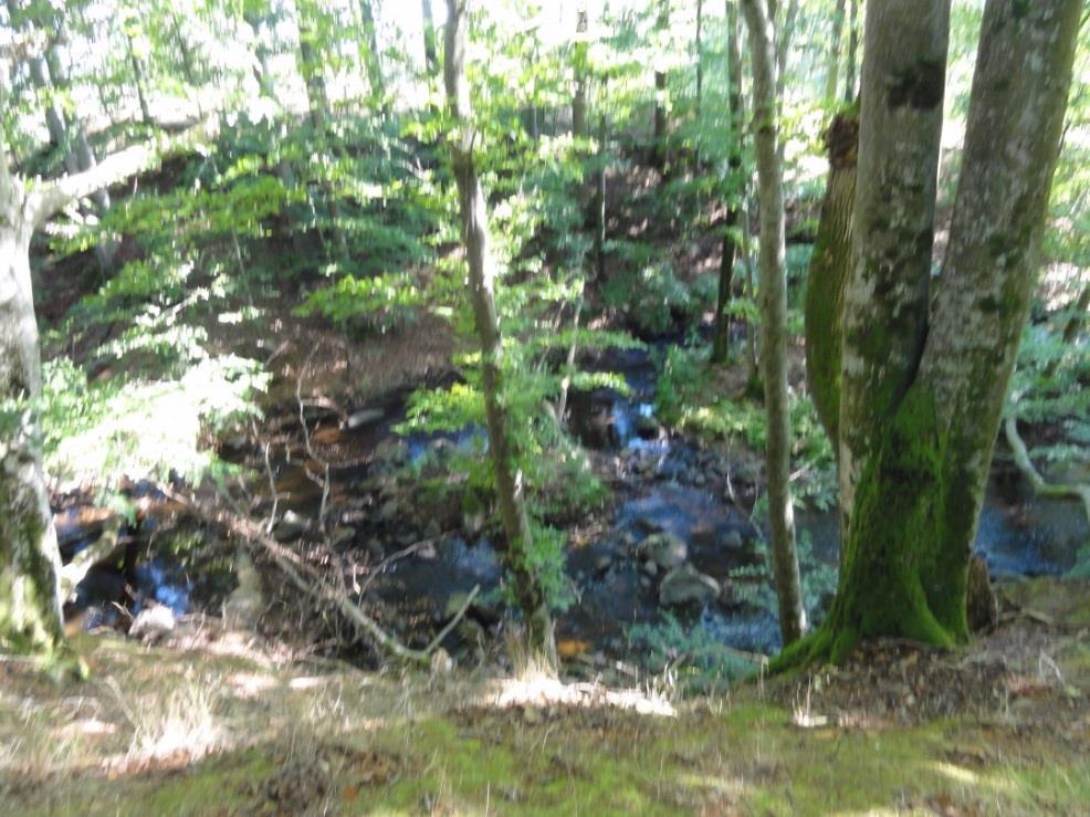 9.Björkeborg Naturföremål/bildning med tradition. Kullar, 30-50 m l, 15 m br och 7-8m h. Mellan kullarna flyter Lillån.(RAÄ nr-näsum 7:1).