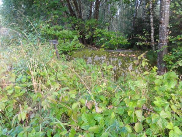 1. Sandåsen i Gualöv Plats med tradition. Ett område på 90X60 m. Om den namngivna sandåsen berättas att en skatt skall finnas nergrävd där. Om man kunde hålla tyst skulle man kunna gräva fram den.