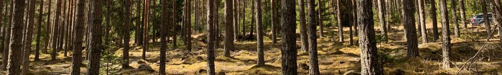 Avdelning 13.