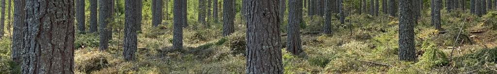 fastighetsbeskrivningen lämnade uppgifterna om skogen är ungefärliga och normalt