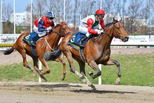 Svenskt Derby Trial är en av Stall EOS egenuppfödda hästar. Fortfarande maiden, men högkapabel. De bästa insatserna är dock gjorda på hemmabanan Övrevoll. Hemmalaget ser urstarkt ut.