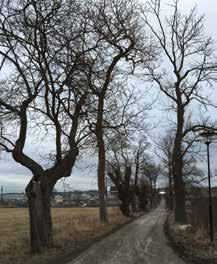 I dagsläget är flera av de hårdgjorda ytorna inte tillgängliga för allmänheten, se landskapsanalyskartan.