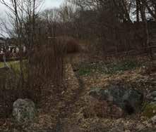 samt belysning genom området. Fig. 27: Stig mot småhusen vid Mjölvägen. Områden med en vildvuxen karaktär kan locka till naturlek, kojbyggen och upptäcksfärder för närliggande barn.