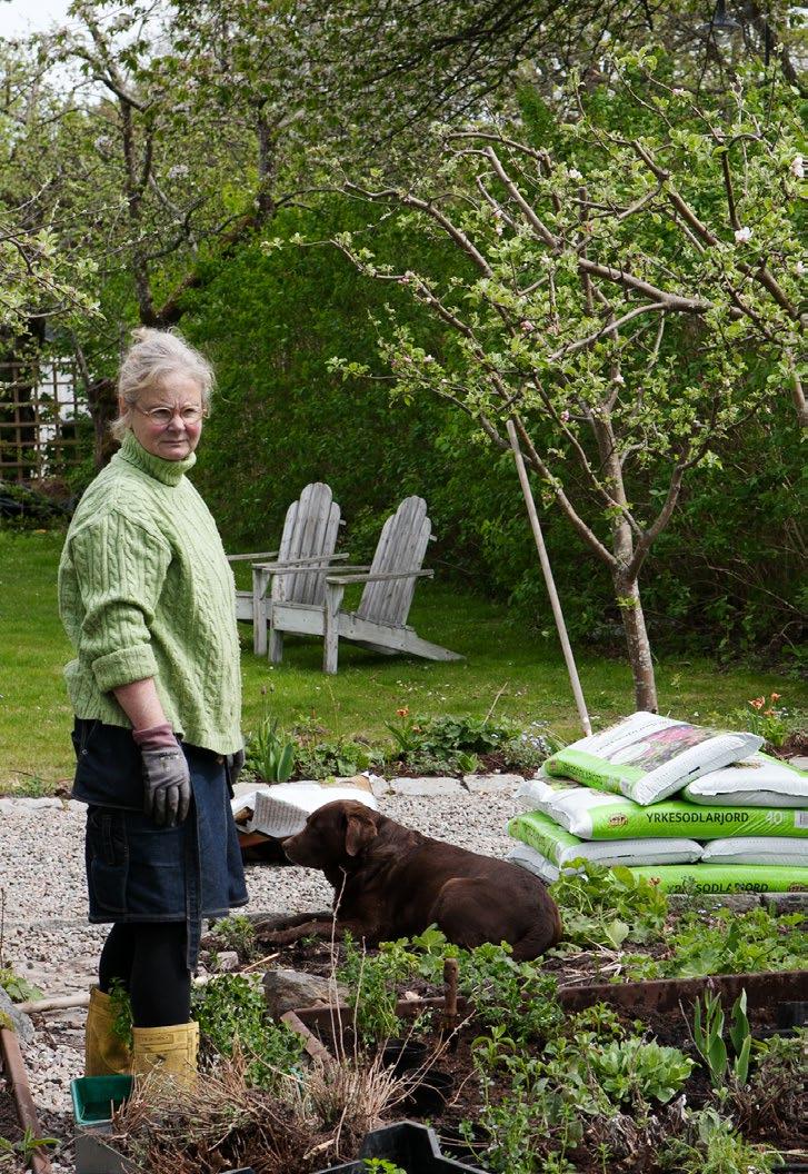 Ombytlig och spontan är två ord som stämmer bra o verens med Sweden Green House grundare Eva Halfwordson.