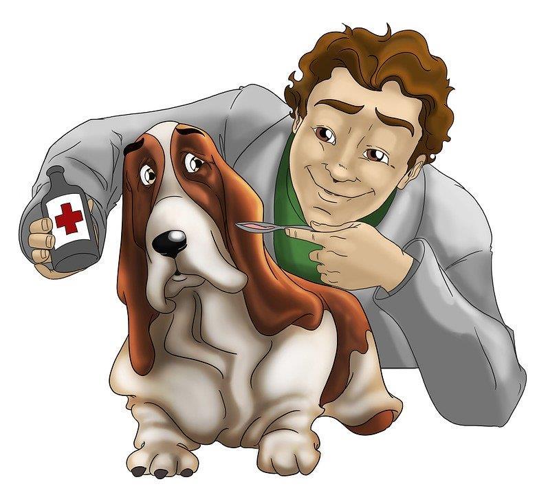 Veterinärer utbildas i Sverige vid veterinärprogrammet i Uppsala.
