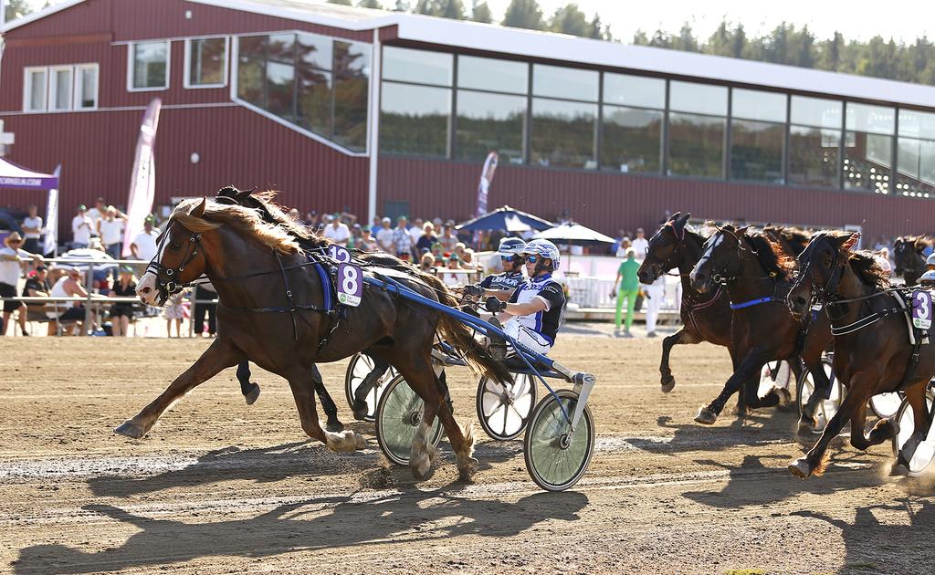 De händer på Aren Hgmyren! Mång föreg väljer ses och syns på Aren Hgmyren, som mn ve är en spännnde mrkndspls med mång möjligheer. T chnsen, du får också pls!