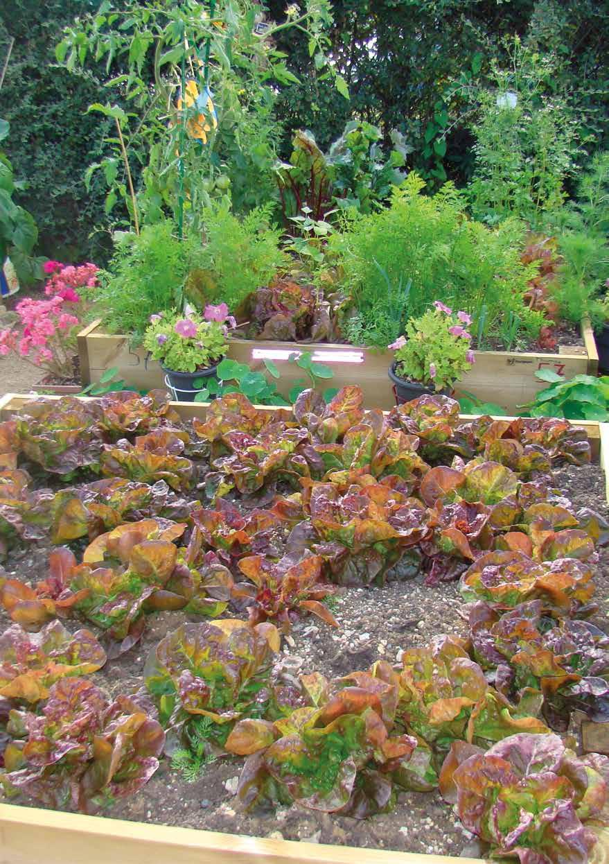 FRANKRIKE Fédération Nationale des Jardins Familiaux et Collectifs (FNJFC) 12 rue Félix Faure,