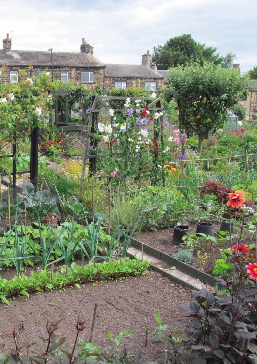 STORBRITANNIEN National Allotment Society O DellHouse/Hunters Road, GB-Corby, Northhamptonshire