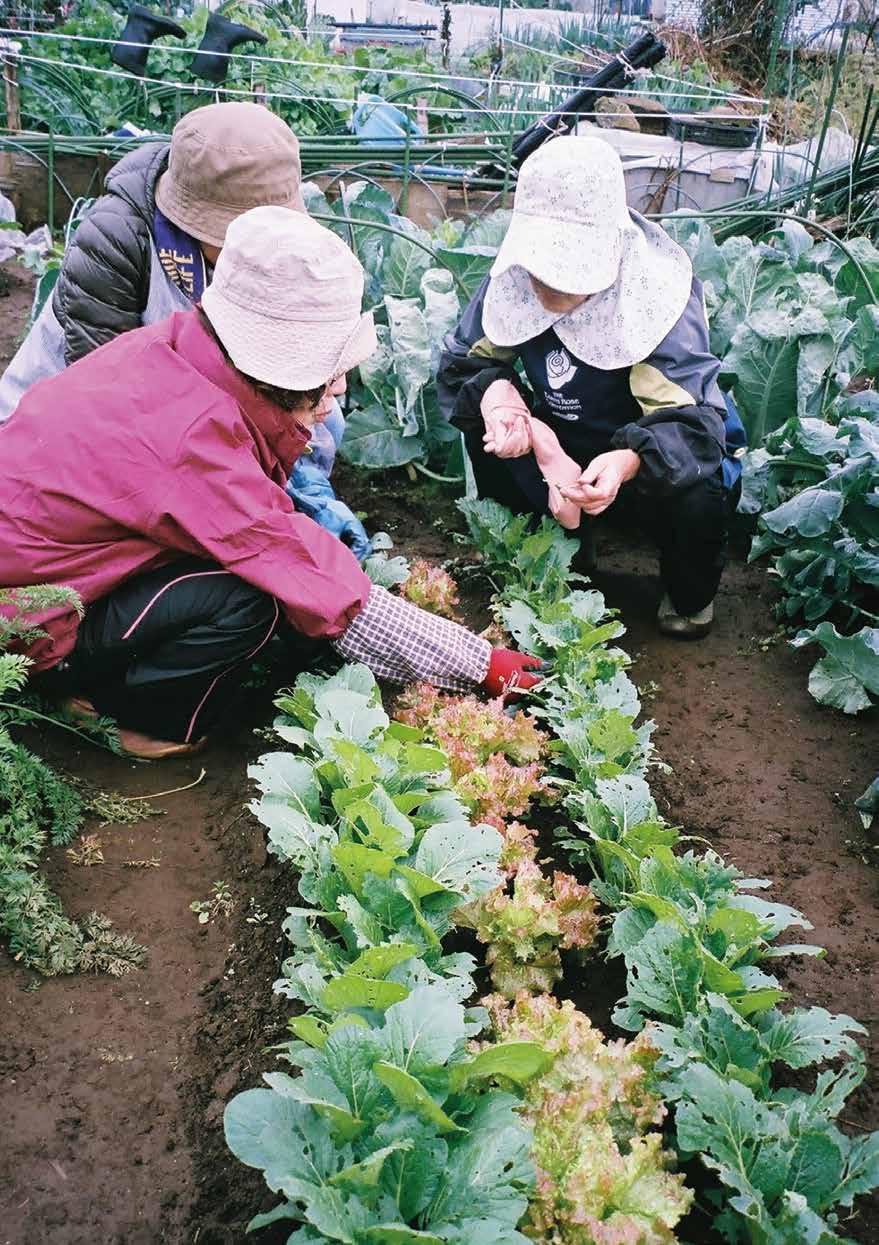 JAPAN Association for Japan Allotment Garden 4-27-20 Honcho-higashi Chuo-ku Saitama-shi,