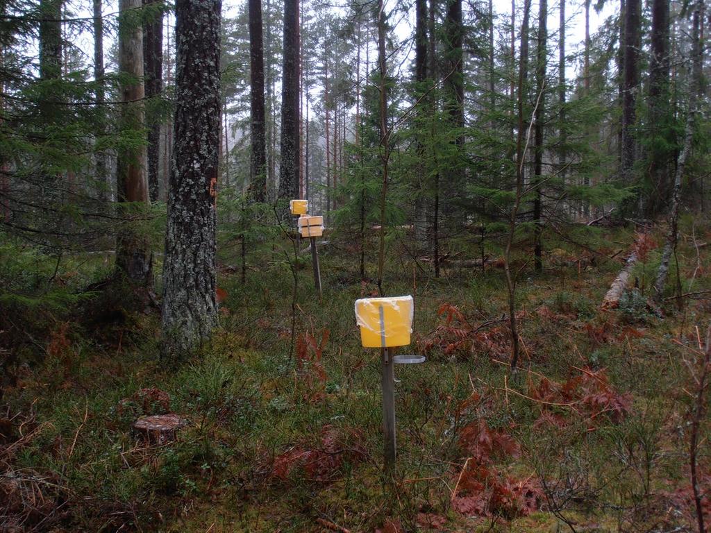 Mätning av deposition över öppet fält- och i skogsytan samt markvatten startade 1996 och lufthaltsmätningarna startade i februari 1998.