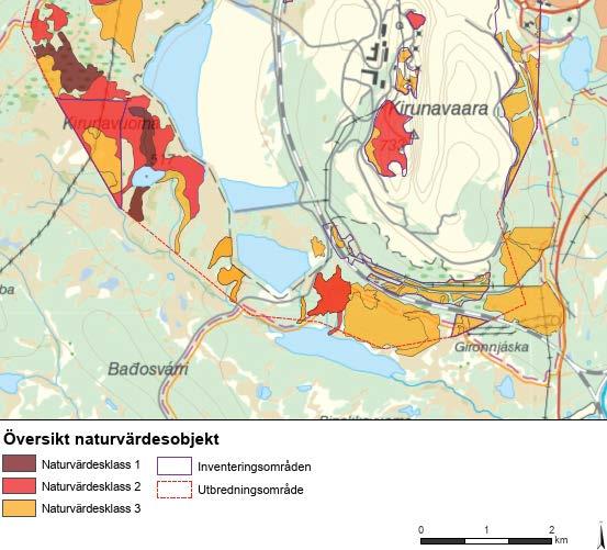 1 () D +6 98 68238 Området på södra sidan av Kiirunavaara, där det planerade området för deponering av sidoberg ligger, består av hedbjörkskog och stråk av ängsbjörkskog samt aapamyr längre ner i