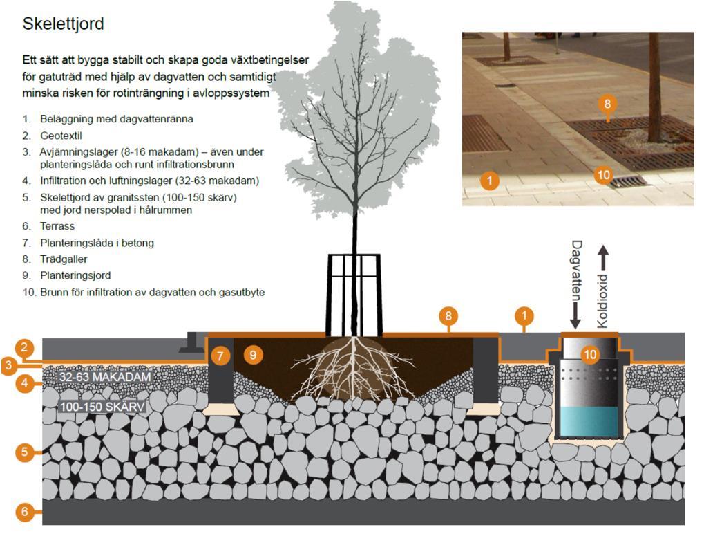 Figur 27. Schematisk illustration över plantering av träd i skelettjord (Stockholm stad, 2018). 6.3.