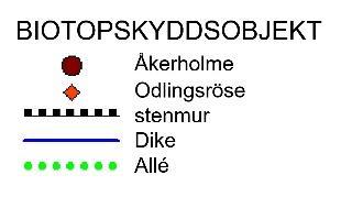 artskyddsförordningen 4. Dessa är utter, större brunfladdermus, vattenfladdermus, dvärgpipistrell och nordfladdermus.