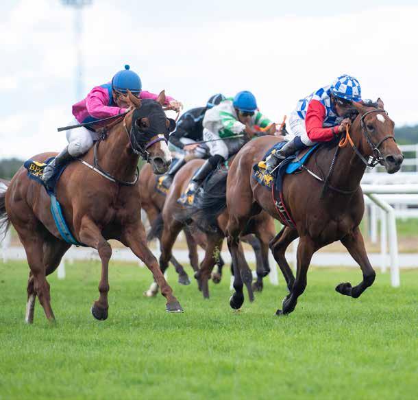 BRO PARK Premium Day Ingen publik på denna tävlingsdag Breeders Trophy Classic, Breeders Trophy Mile SFAF