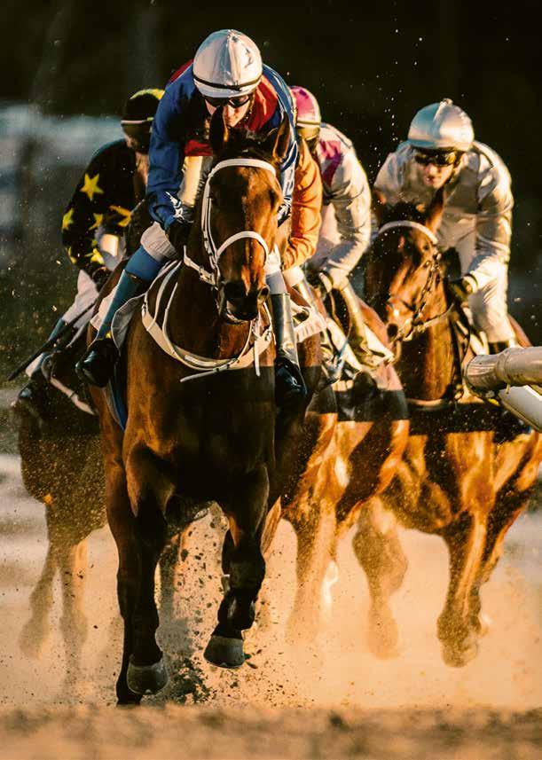 Officiellt om Bro Park Tävlingarna arrangeras av Svensk Galopp www.svenskgalopp.se e-post info@svenskgalopp.