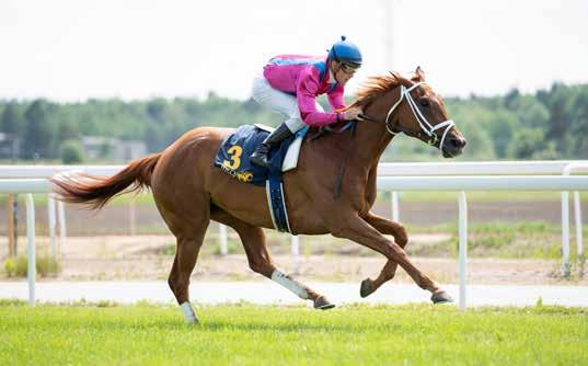 Queen Rouge Breeders Trophy Mile 10 Good Look (e Appel Au Maitre) var inte långt efter Queen Rouge och Margrethe senast. Hon verkar gå som bäst med en lättare gräsbana under hovarna.