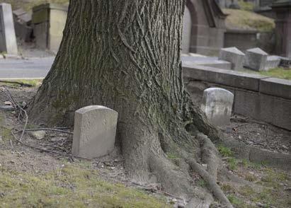 Sju dikter av Eva Runefeldt Seven poems by Eva Runefeldt Bröd och grav Bread and Grave Lilla bilden: Judiska kyrkogården, Berlin, Tyskland Small image: The Jewish Cemetery, Berlin, Germany Stora